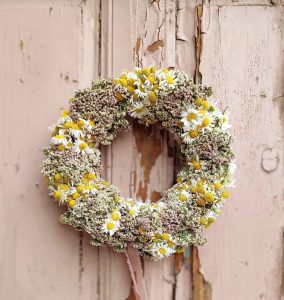 Paula Farenholc Za Lipami